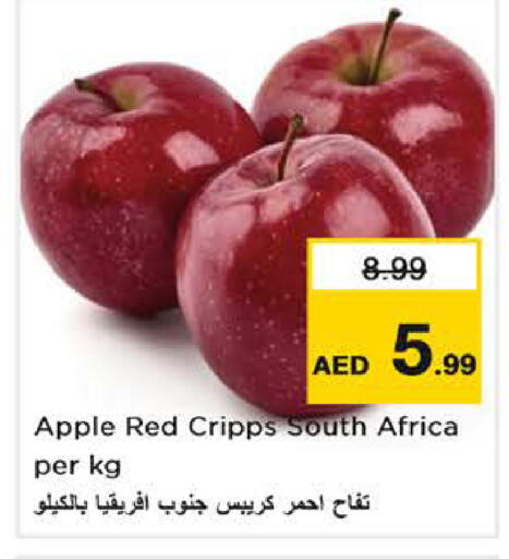 Apple from South Africa available at Nesto Hypermarket in UAE - Dubai