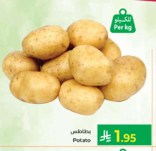 Potato available at Kabayan Hypermarket in KSA, Saudi Arabia, Saudi - Yanbu