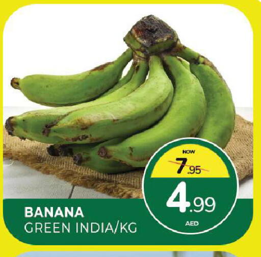 Banana from India available at المدينة in الإمارات العربية المتحدة , الامارات - الشارقة / عجمان