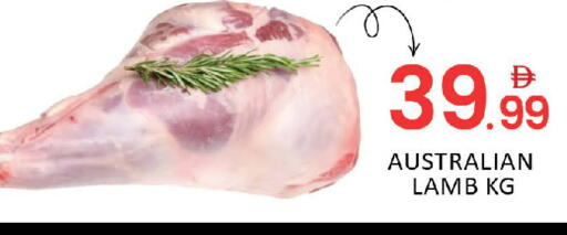 Mango available at مانجو هايبرماركت in الإمارات العربية المتحدة , الامارات - دبي