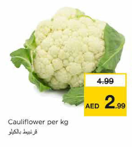 Cauliflower available at نستو هايبرماركت in الإمارات العربية المتحدة , الامارات - الشارقة / عجمان