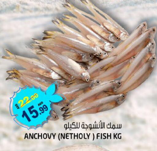 available at Hashim Hypermarket in UAE - Sharjah / Ajman