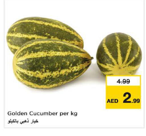 Cucumber available at نستو هايبرماركت in الإمارات العربية المتحدة , الامارات - الشارقة / عجمان