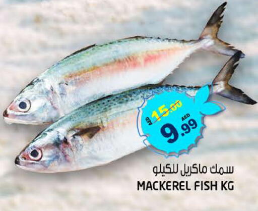 available at Hashim Hypermarket in UAE - Sharjah / Ajman