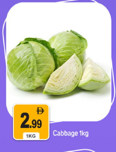 Cabbage available at سوق طلال in الإمارات العربية المتحدة , الامارات - دبي