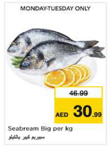 available at نستو هايبرماركت in الإمارات العربية المتحدة , الامارات - أبو ظبي