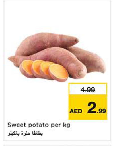 Sweet Potato available at نستو هايبرماركت in الإمارات العربية المتحدة , الامارات - الشارقة / عجمان