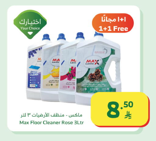 Lemon available at Al Raya in KSA, Saudi Arabia, Saudi - Tabuk