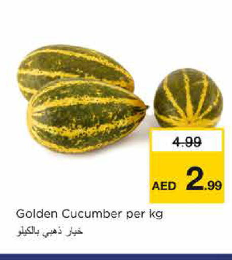 Cucumber available at نستو هايبرماركت in الإمارات العربية المتحدة , الامارات - الشارقة / عجمان