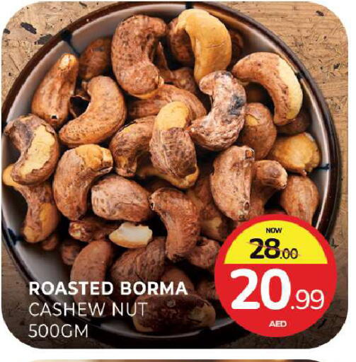 available at المدينة in الإمارات العربية المتحدة , الامارات - الشارقة / عجمان