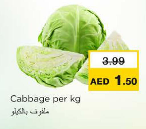 Cabbage available at نستو هايبرماركت in الإمارات العربية المتحدة , الامارات - رَأْس ٱلْخَيْمَة