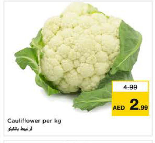 Cauliflower available at نستو هايبرماركت in الإمارات العربية المتحدة , الامارات - ٱلْفُجَيْرَة‎