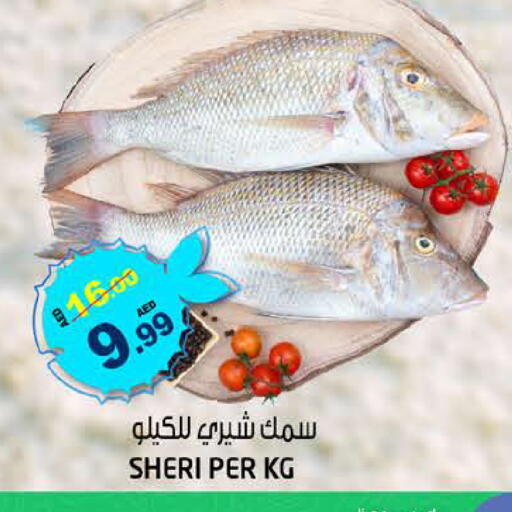 available at Hashim Hypermarket in UAE - Sharjah / Ajman