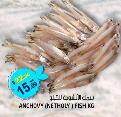 available at Hashim Hypermarket in UAE - Sharjah / Ajman