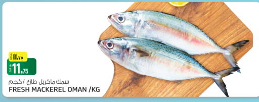 available at كنز ميني مارت in قطر - أم صلال