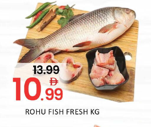 Mango available at مانجو هايبرماركت in الإمارات العربية المتحدة , الامارات - دبي