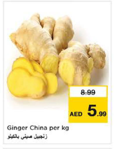 Ginger from China available at نستو هايبرماركت in الإمارات العربية المتحدة , الامارات - الشارقة / عجمان
