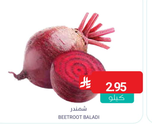 Beetroot available at Muntazah Markets in KSA, Saudi Arabia, Saudi - Qatif