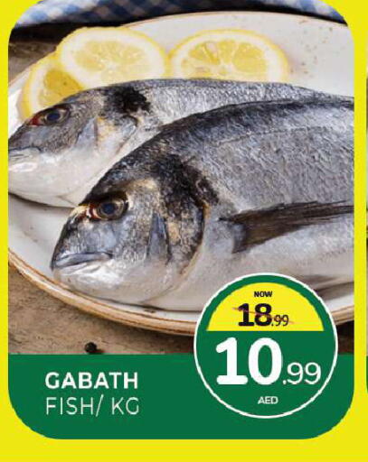 available at Al Madina  in UAE - Sharjah / Ajman