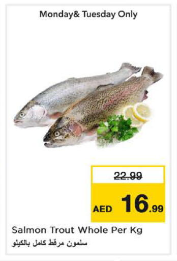 available at نستو هايبرماركت in الإمارات العربية المتحدة , الامارات - ٱلْفُجَيْرَة‎