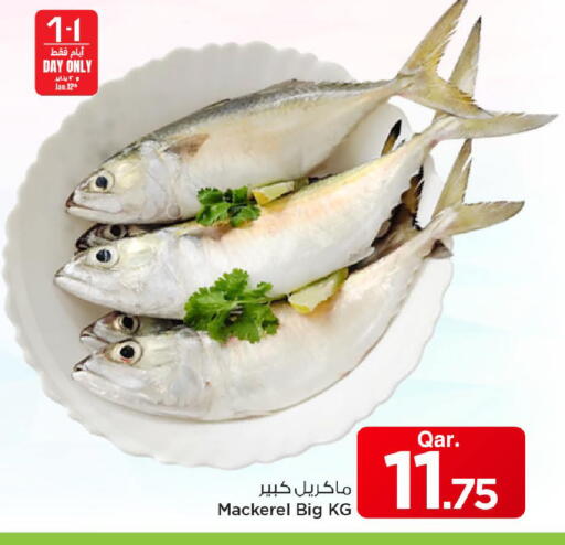 available at مارك & سيف in قطر - الشحانية