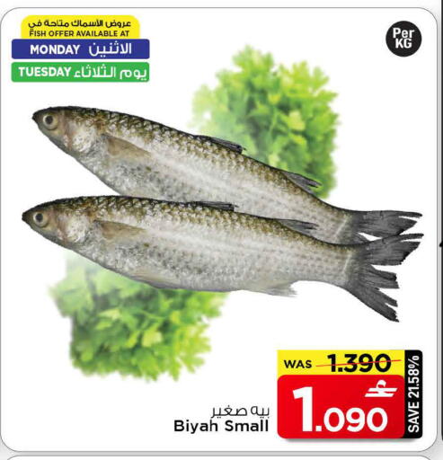 available at MARK & SAVE in Oman - Muscat
