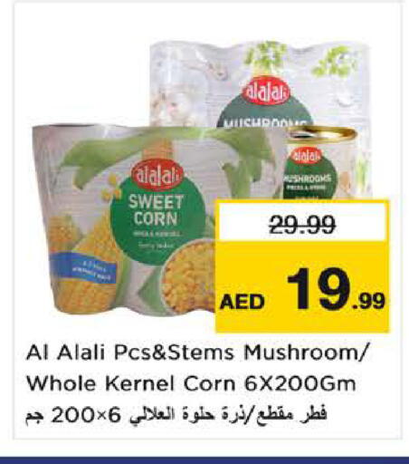 Mushroom available at نستو هايبرماركت in الإمارات العربية المتحدة , الامارات - الشارقة / عجمان