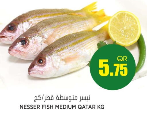 available at جراند هايبرماركت in قطر - الريان