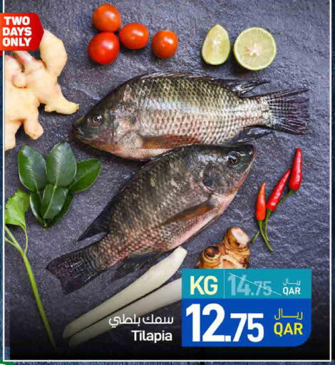 available at ســبــار in قطر - أم صلال