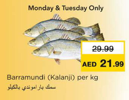available at Nesto Hypermarket in UAE - Ras al Khaimah