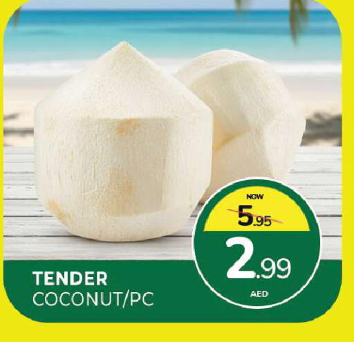 Coconut available at المدينة in الإمارات العربية المتحدة , الامارات - الشارقة / عجمان