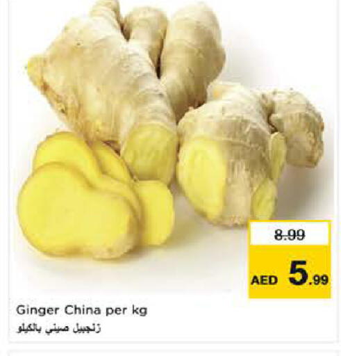 Ginger from China available at نستو هايبرماركت in الإمارات العربية المتحدة , الامارات - الشارقة / عجمان