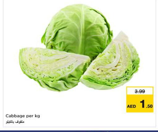 Cabbage available at نستو هايبرماركت in الإمارات العربية المتحدة , الامارات - الشارقة / عجمان