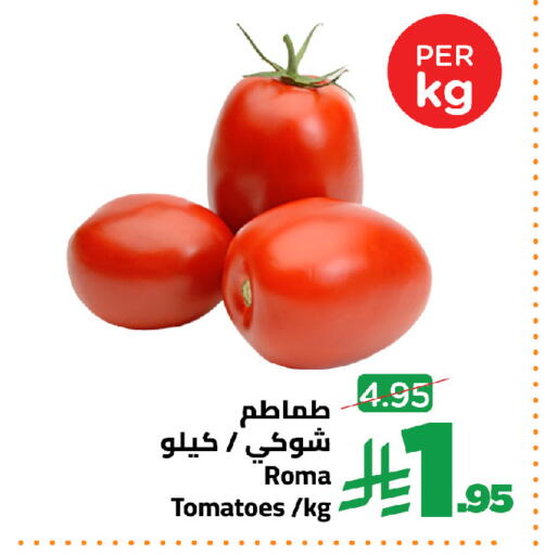 Tomato available at وهج مارت in مملكة العربية السعودية, السعودية, سعودية - جدة