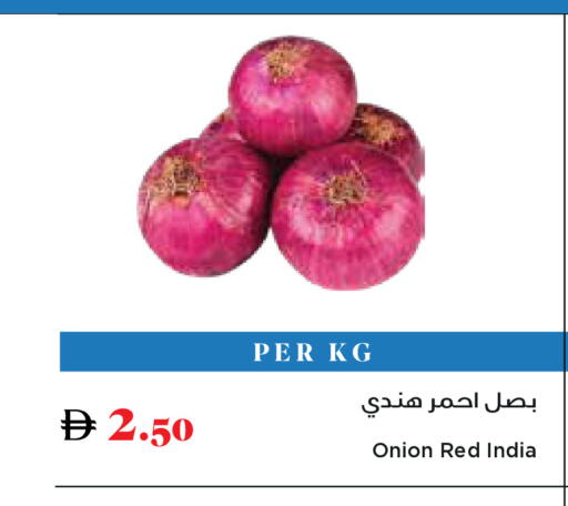 Onion from India available at Trolleys Supermarket in UAE - Sharjah / Ajman