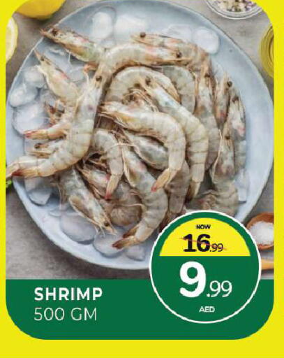 available at المدينة in الإمارات العربية المتحدة , الامارات - الشارقة / عجمان