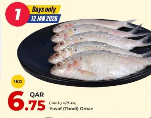 available at روابي هايبرماركت in قطر - الريان