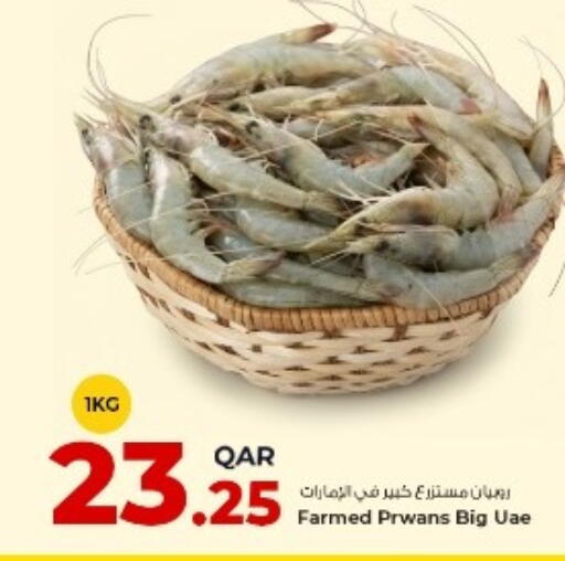 available at روابي هايبرماركت in قطر - الريان