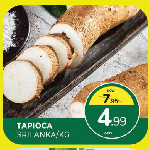 available at المدينة in الإمارات العربية المتحدة , الامارات - الشارقة / عجمان