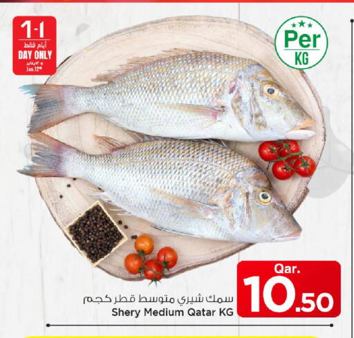 available at مارك & سيف in قطر - الريان