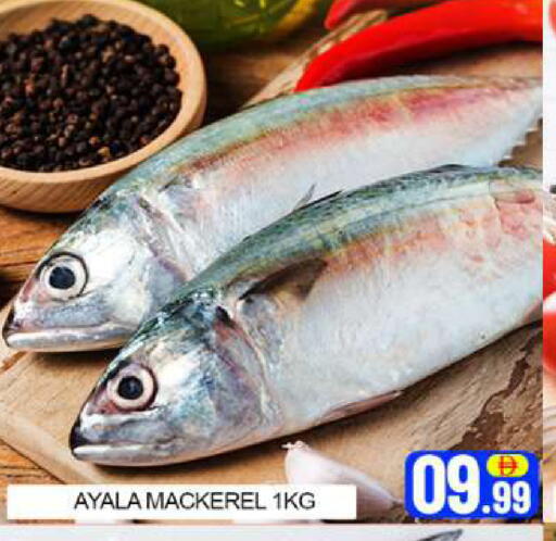 Mango available at مانجو هايبرماركت in الإمارات العربية المتحدة , الامارات - دبي