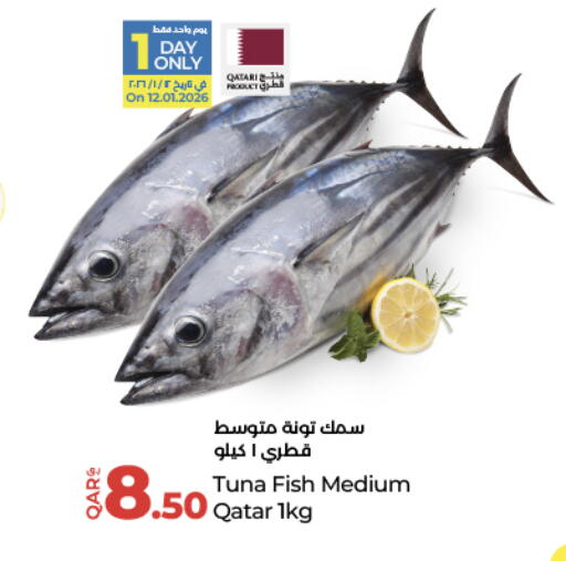 available at لولو هايبرماركت in قطر - الريان