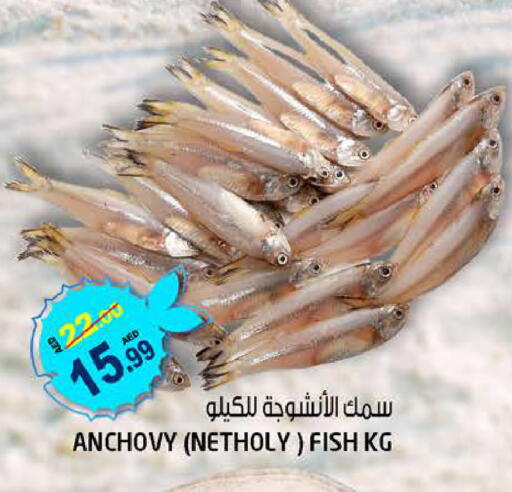 available at Hashim Hypermarket in UAE - Sharjah / Ajman