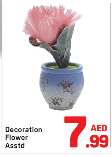 available at Day to Day Department Store in UAE - Sharjah / Ajman