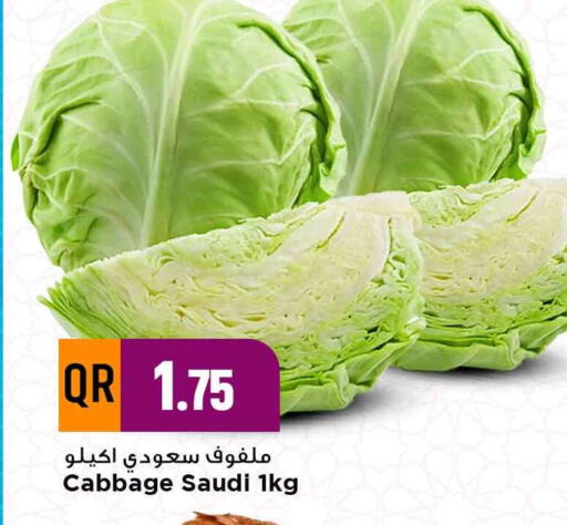 Cabbage from Saudi Arabia available at Marza Hypermarket in Qatar - Al Wakra