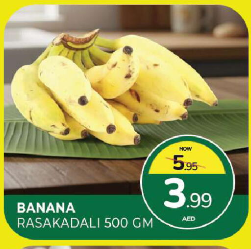 Banana available at المدينة in الإمارات العربية المتحدة , الامارات - الشارقة / عجمان