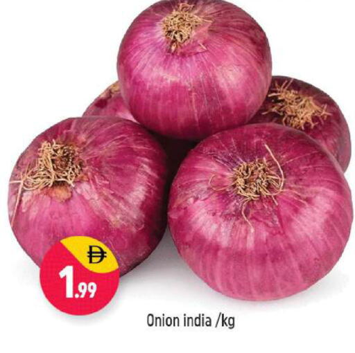 Onion from India available at شكلان ماركت in الإمارات العربية المتحدة , الامارات - دبي