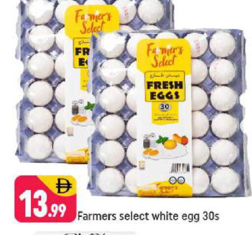 available at شكلان ماركت in الإمارات العربية المتحدة , الامارات - دبي