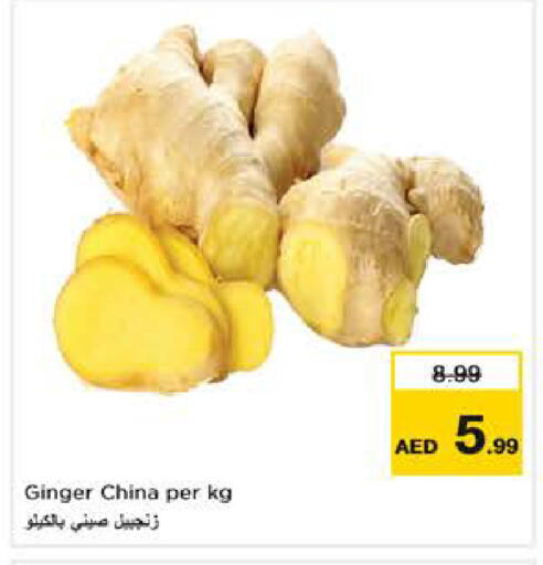 Ginger from China available at نستو هايبرماركت in الإمارات العربية المتحدة , الامارات - ٱلْفُجَيْرَة‎