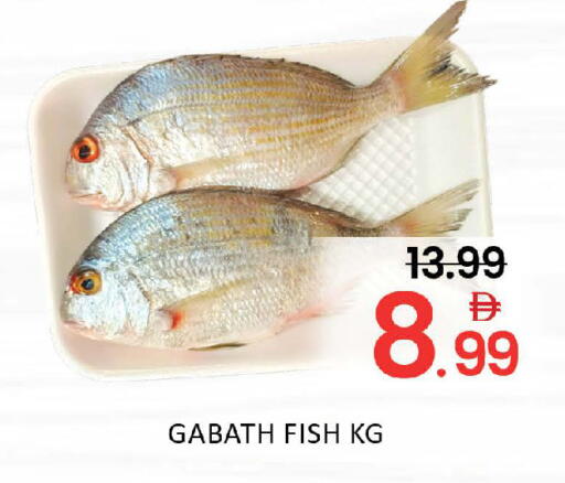 Mango available at مانجو هايبرماركت in الإمارات العربية المتحدة , الامارات - دبي